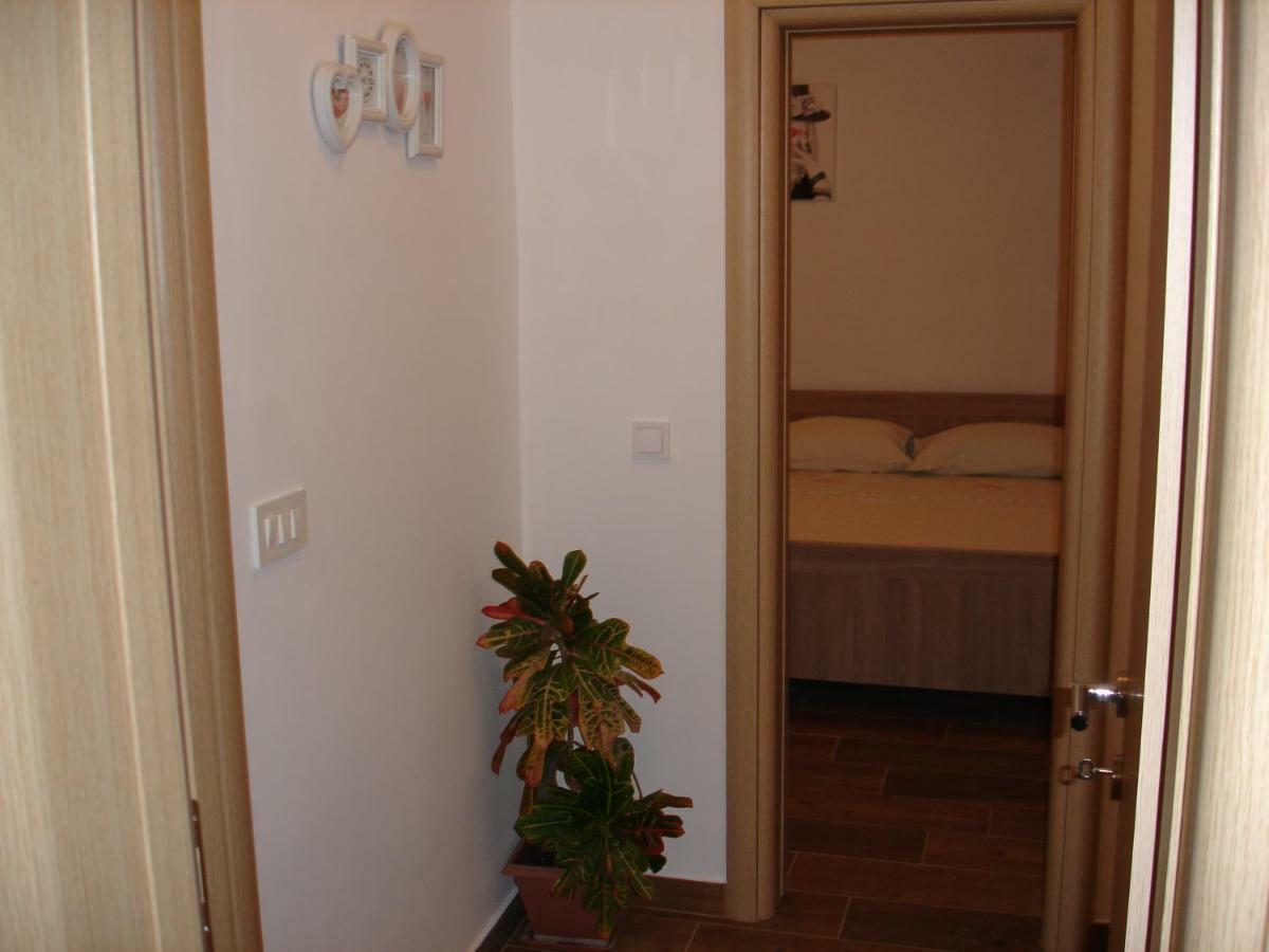 Apartment Dominik Orebic